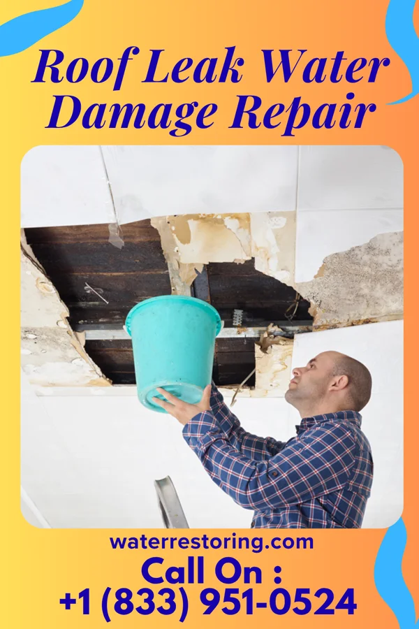 Roof Leak Water Damage Repair in Buffalo Gap, SD